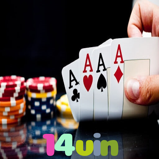 A Magia dos Jogos de Fantasia na 14vin